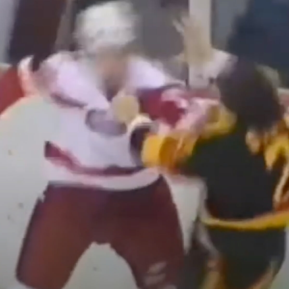 Proof that Bob Probert was NHL heavyweight fight champ 