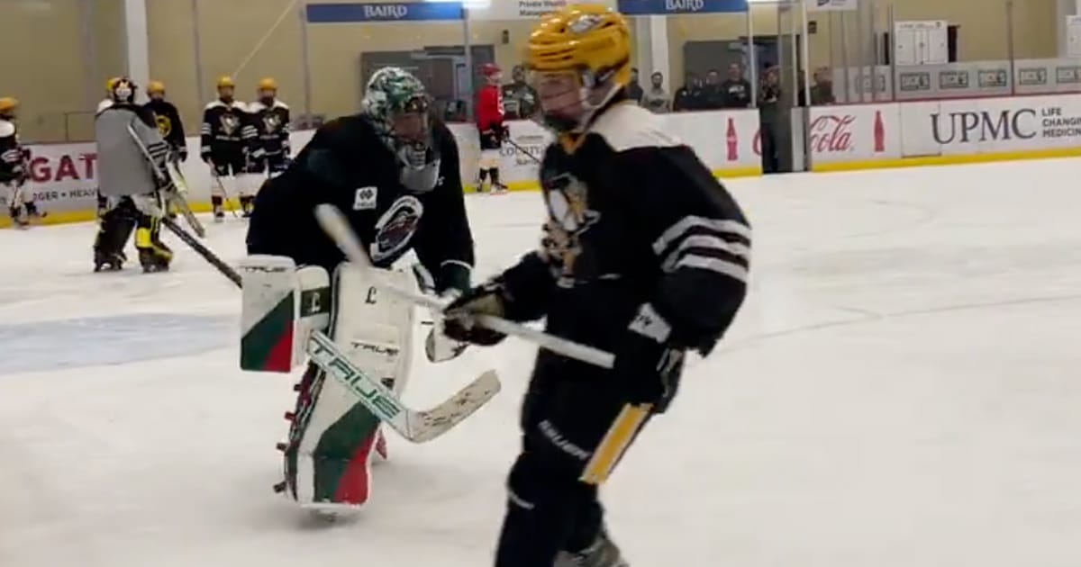 Marc-Andre Fleury of the Minnesota Wild