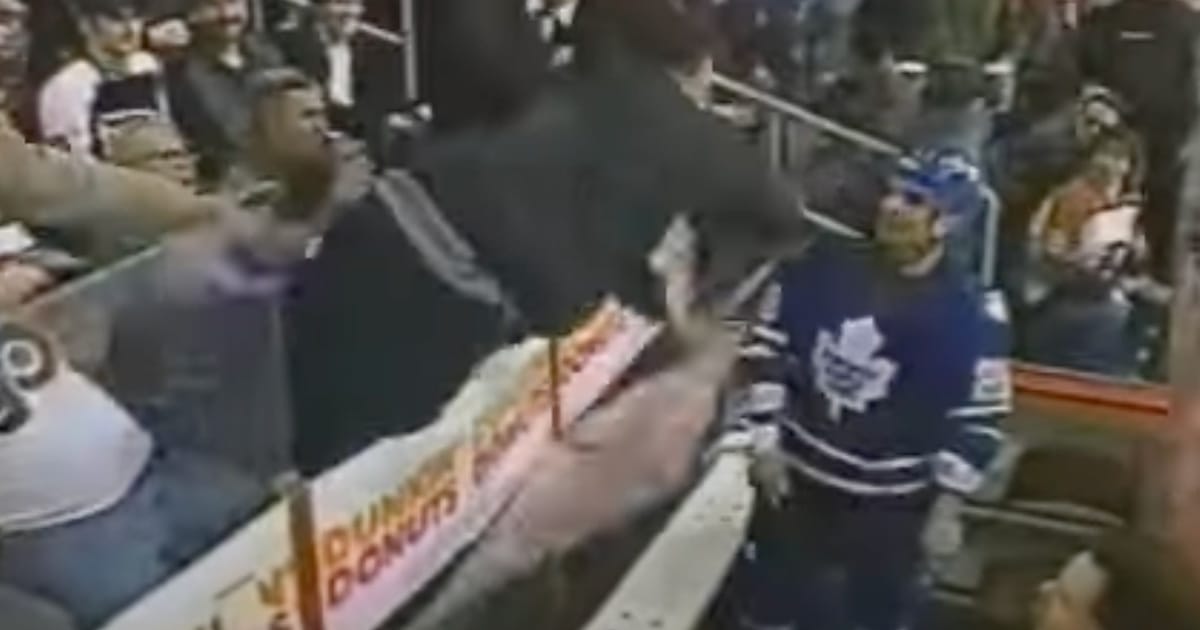 This is what happened after Tie Domi's infamous fight with fan
