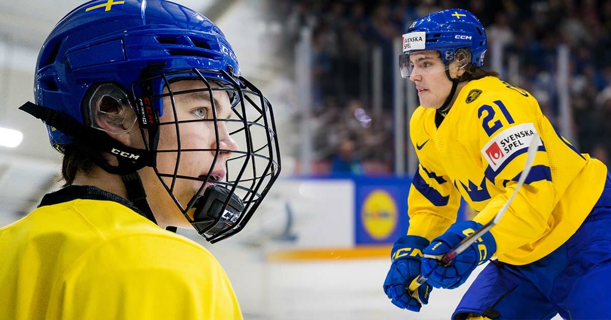Axel Sandin Pellikka, Leo Carlsson, hockey