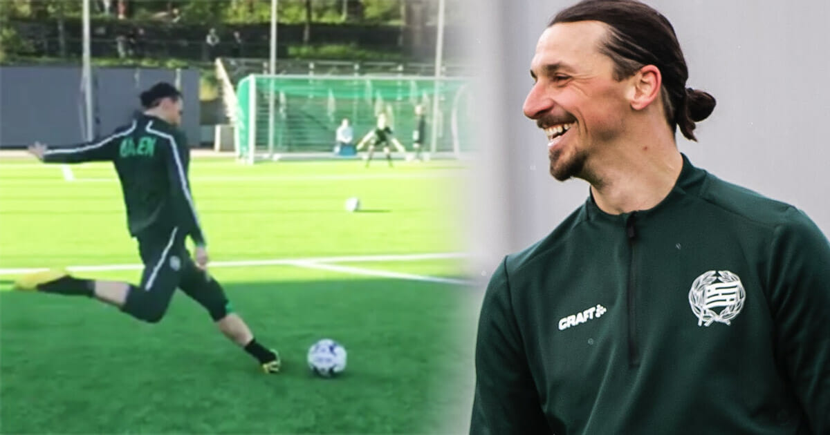 Zlatan Ibrahimovic, Hammarby