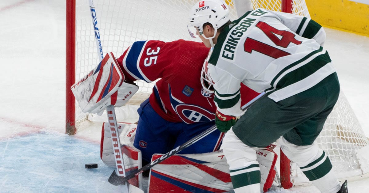 Joel Eriksson Ek, hockey
