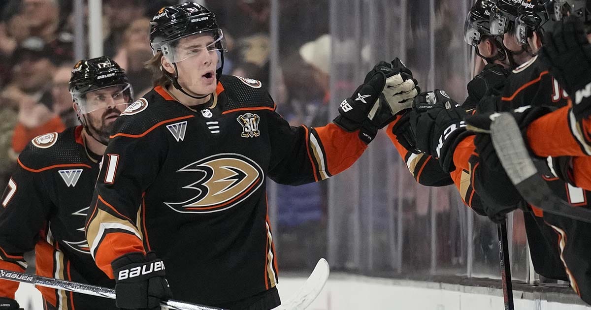 Leo Carlsson, NHL