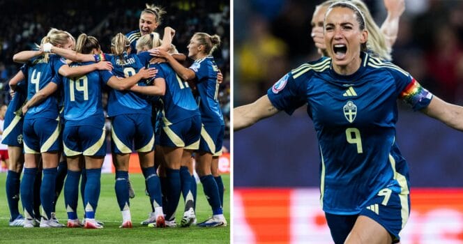 Sveriges kross i EM fick norska experter att uttrycka avundsjuk