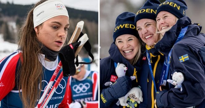 Kritiken i Norge efter orden om Kristine Stavås Skistad