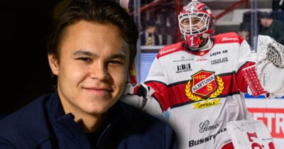 Hjärtevärmande beskedet om Herman Liv