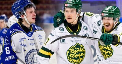 Det är bra för svensk hockey om Björklöven tar Leksands plats i SHL.