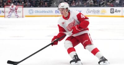 Axel Sandin-Pellikka, Detroit Red Wings