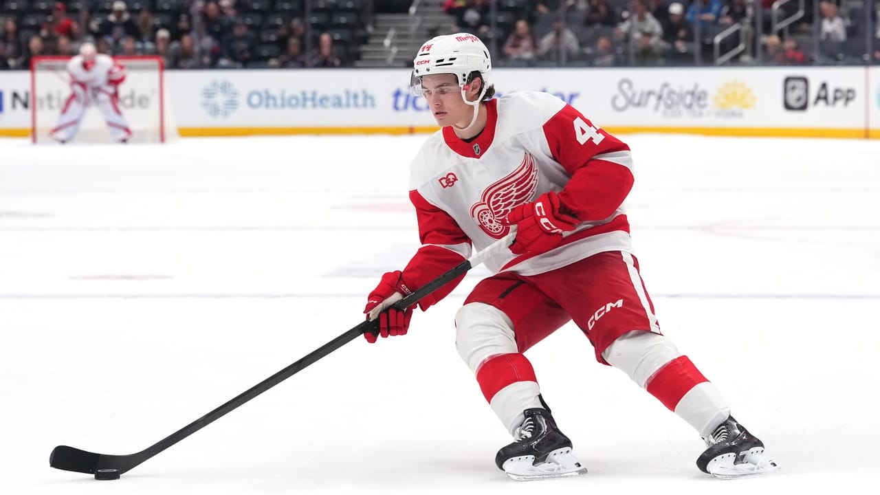 Axel Sandin-Pellikka, Detroit Red Wings
