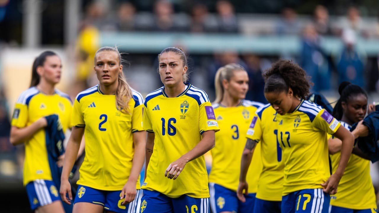 Svenska damlandslaget i fotboll under VM-kvalet
