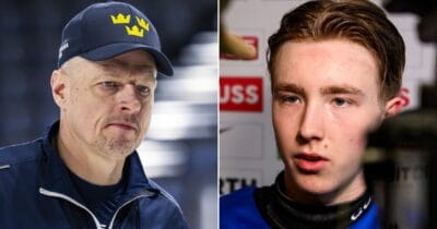 magnsu hävelid, viggo björck