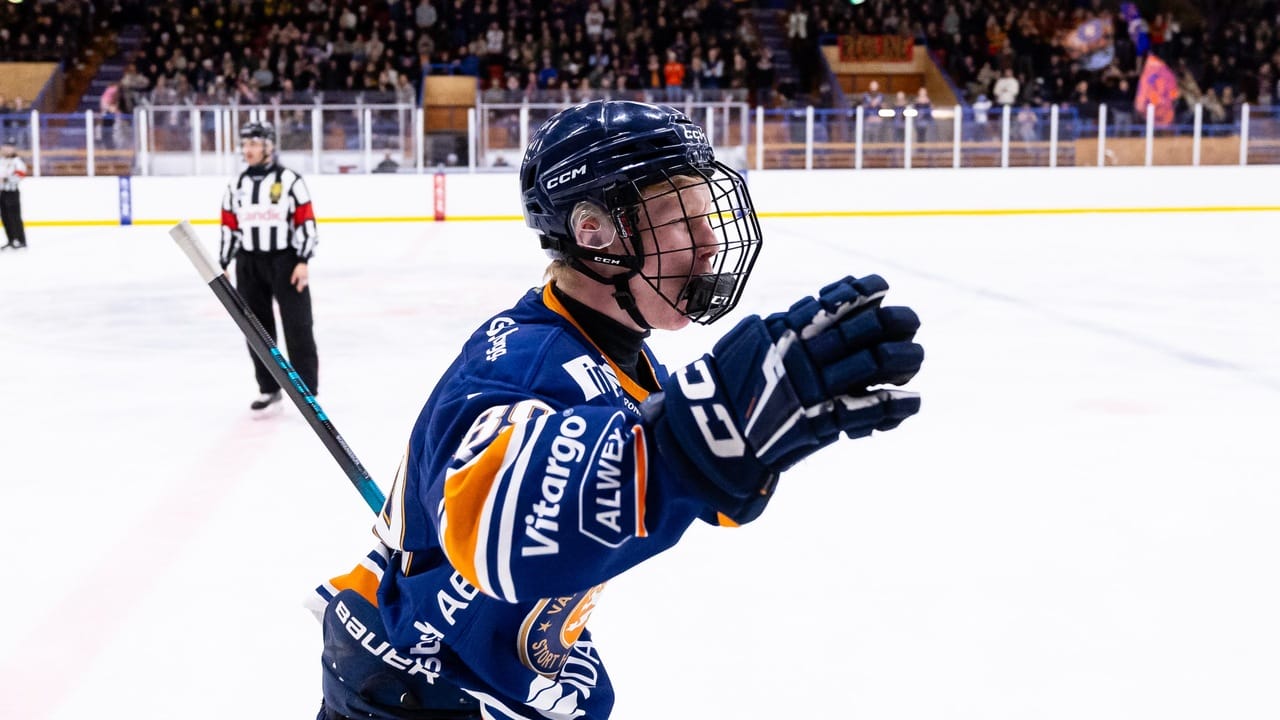 Hockeyspelaren Wiggo Sörensson