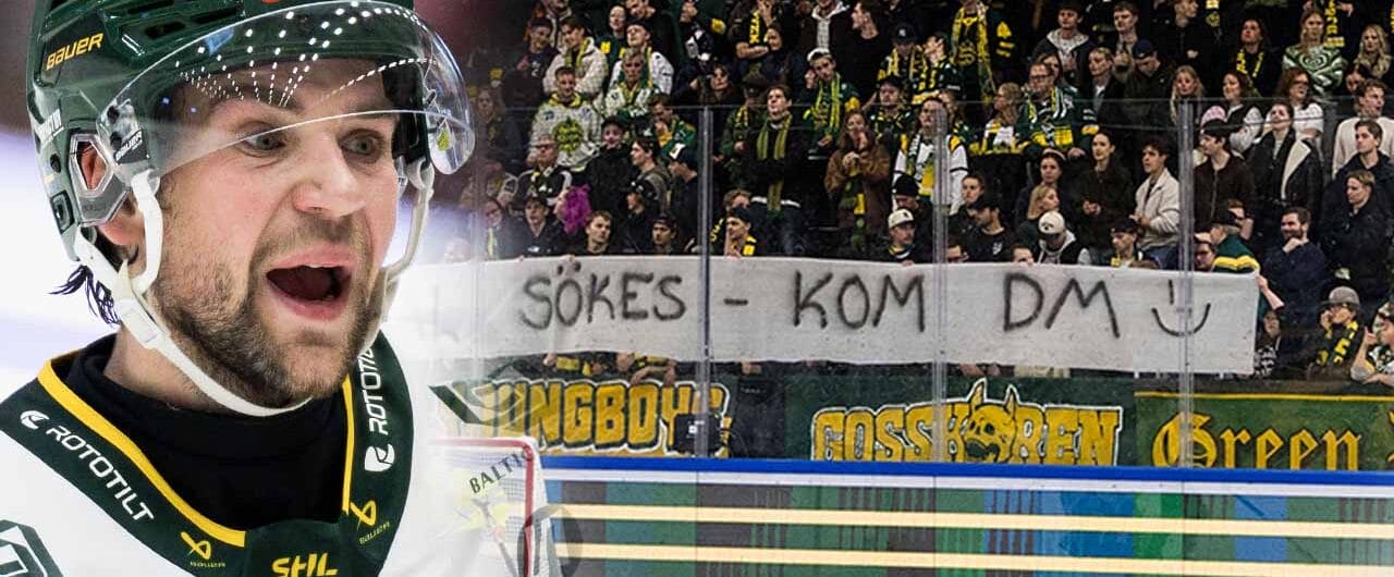 Björklövens supportrar svarar med en fräck banderoll efter kritiken från hockey-Sverige.