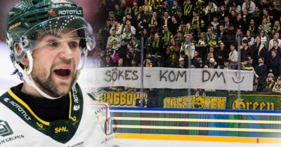 Björklövens supportrar svarar med en fräck banderoll efter kritiken från hockey-Sverige.