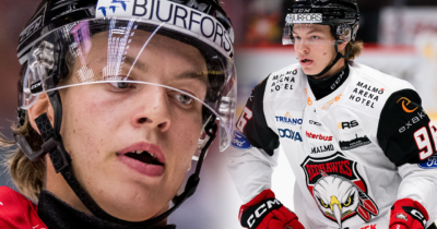 Lukas Wernblom stängs av i sex matcher efter bettet på motståndaren.