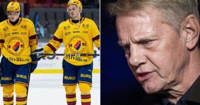 niklas wikegård, djurgården