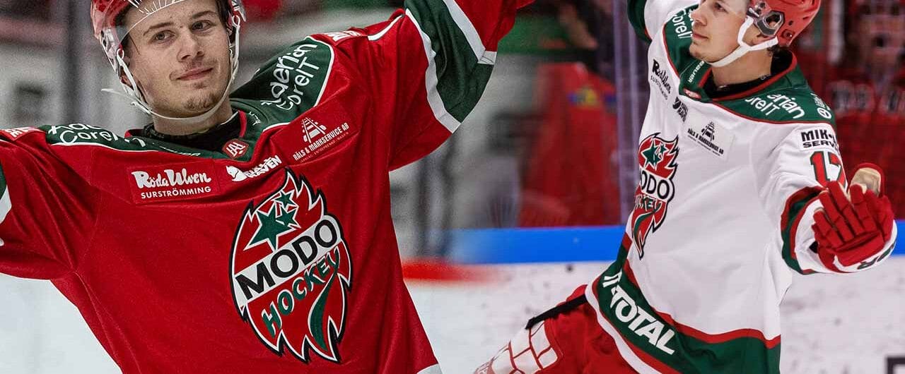 Elton Hermansson har gjort stor succé för Modo i HockeyAllsvenskan.